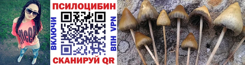 Псилоцибиновые грибы Magic Shrooms  Зверево 
